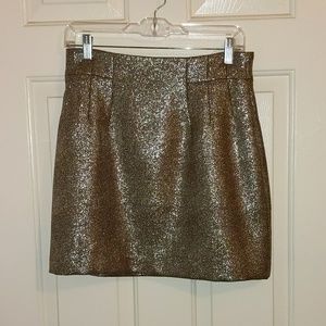 Sparkly skirt